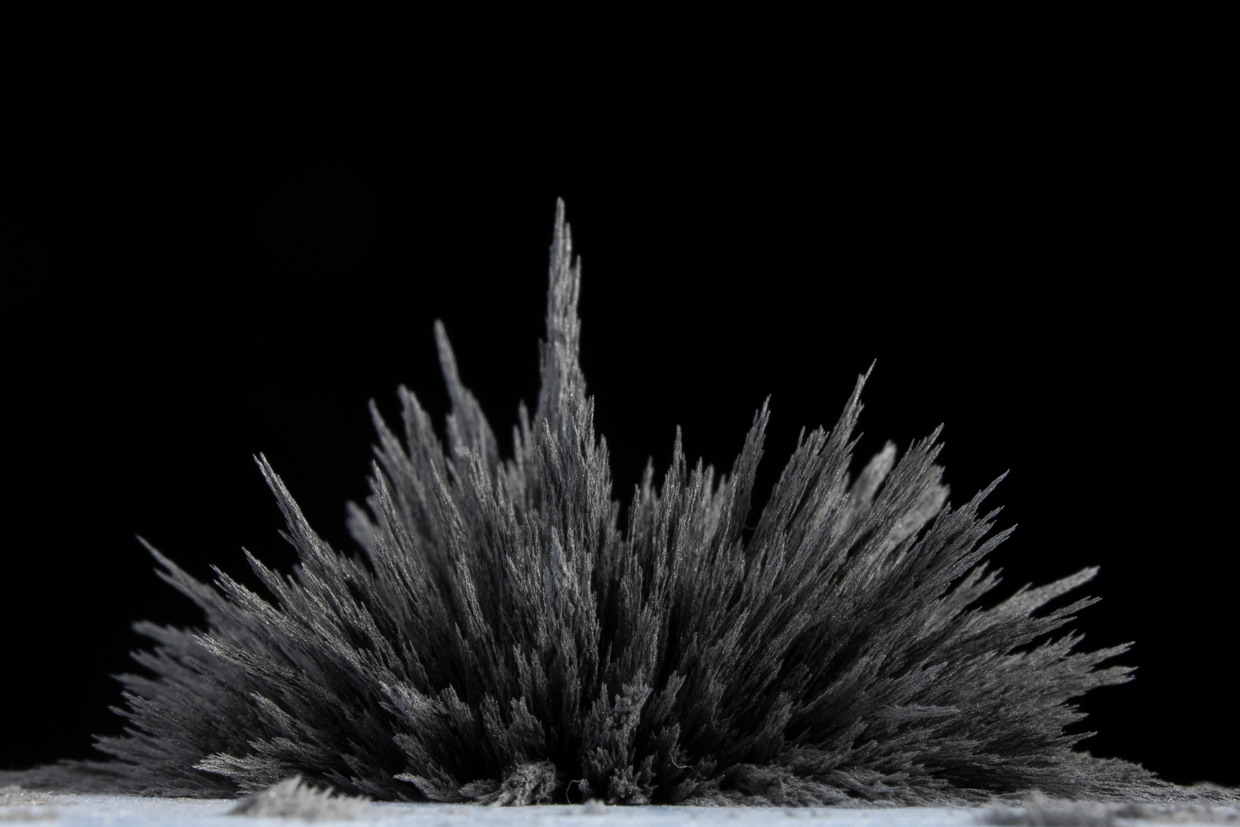 Magnetized metal particles forming ridges and spikes
